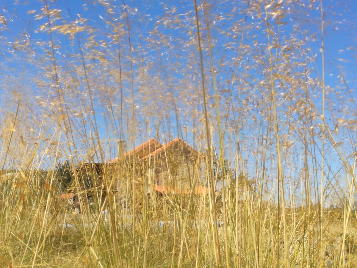 Appartamento Quinta da Adarnela Alto Lagares da Beira Esterno foto