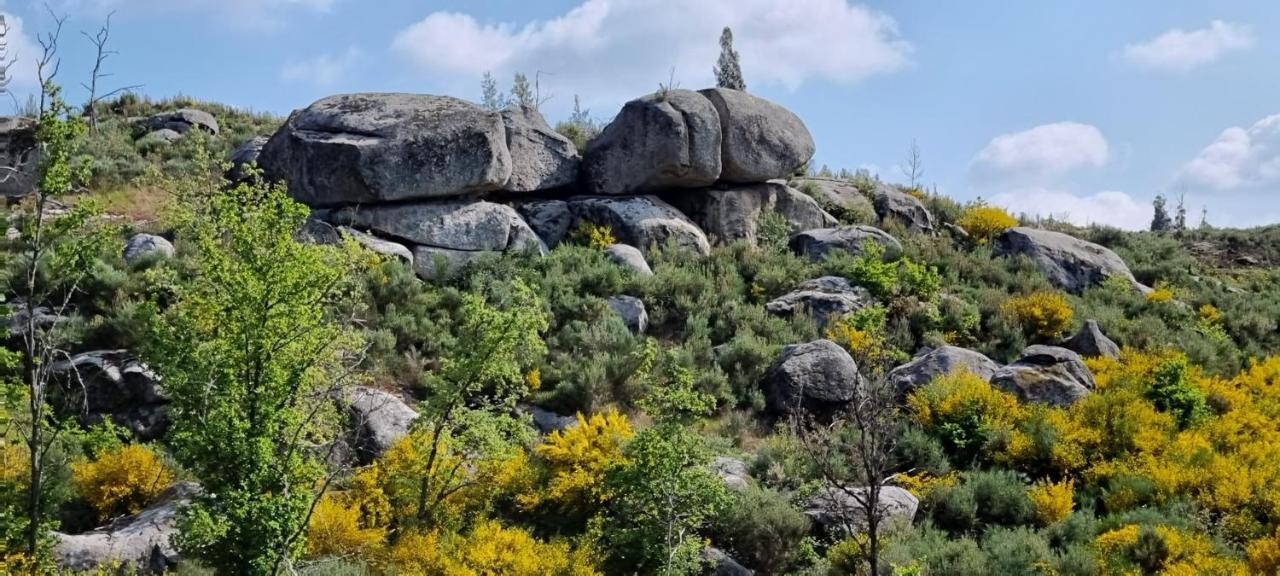 Appartamento Quinta da Adarnela Alto Lagares da Beira Esterno foto