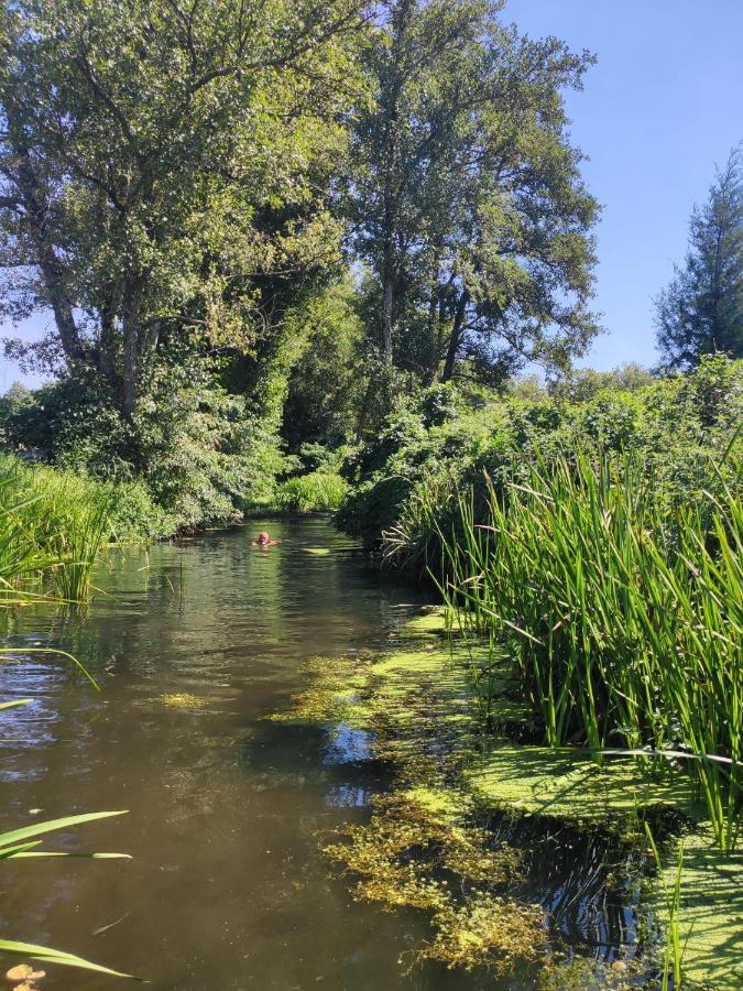 Appartamento Quinta da Adarnela Alto Lagares da Beira Esterno foto