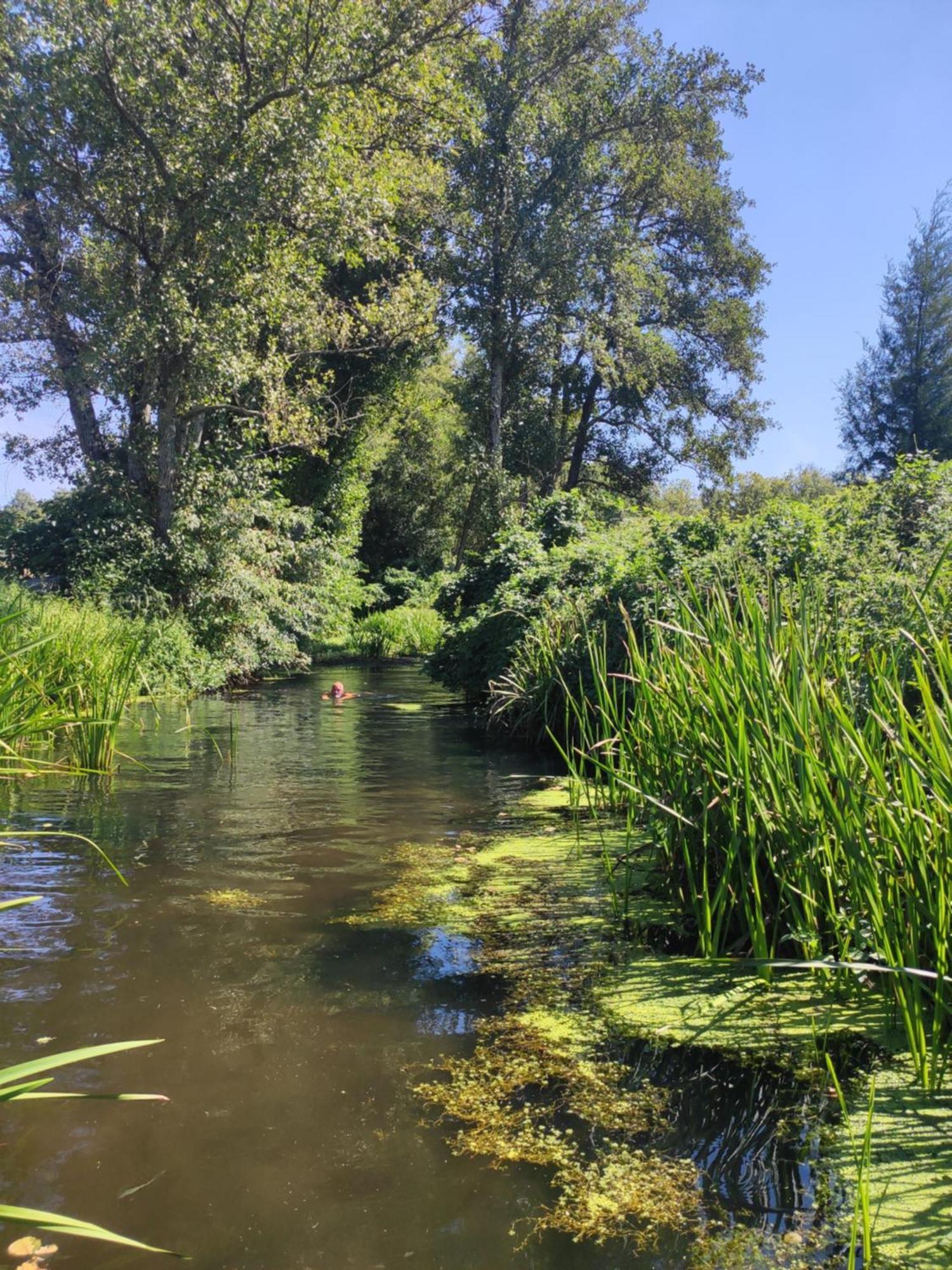 Appartamento Quinta da Adarnela Alto Lagares da Beira Esterno foto